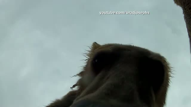 Si-a lasat camera de filmat in apropierea unui rau. Ce a surprins cand s-a uitat la inregistrare