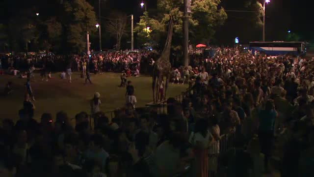 Oamenii au stat la coada 5 ore sa intre gratis la Antipa. Cat ar fi incasat muzeul intr-o zi normala