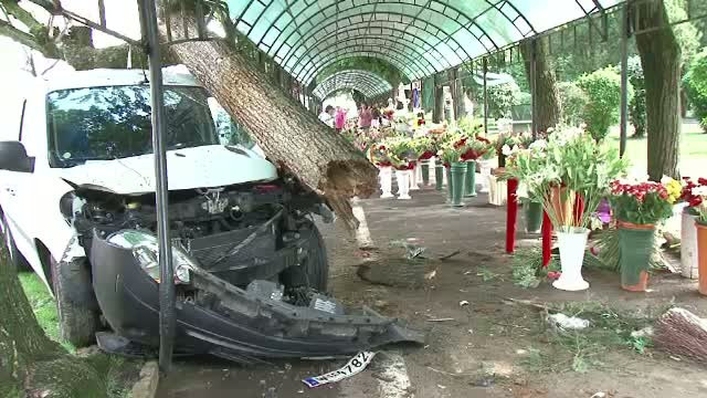 Un sofer a intrat cu masina intr-o florarie din Satu Mare. Ipoteza politistilor despre accident