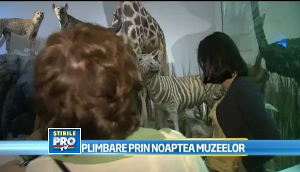 NOAPTEA MUZEELOR 2013. Muzeul Antipa si cel de Istorie, principalele puncte de atractie din Capitala