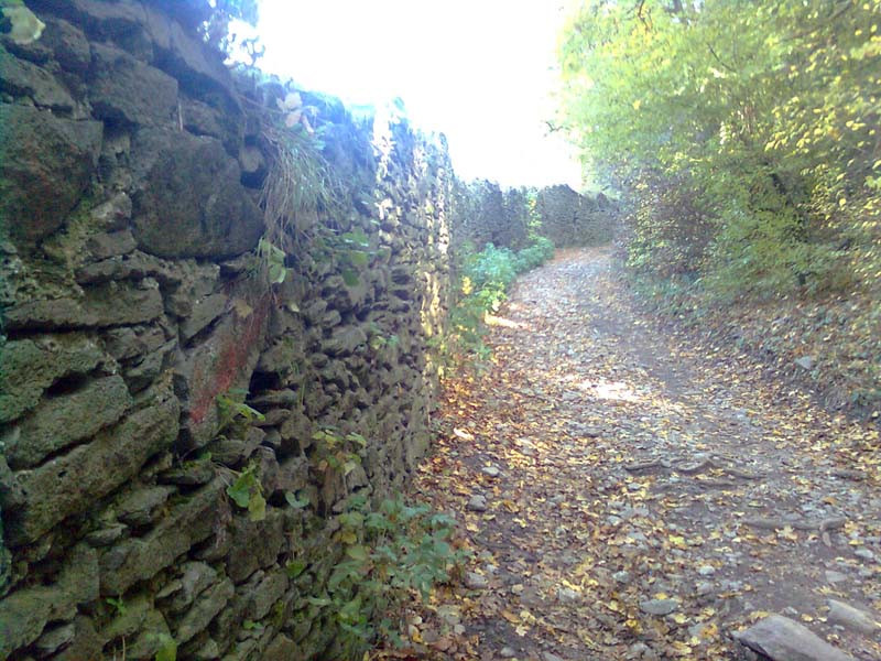 Detaliile care fac din cazul ELODIA o GLUMA! "A ingropat-o aici" Crima care a facut istorie