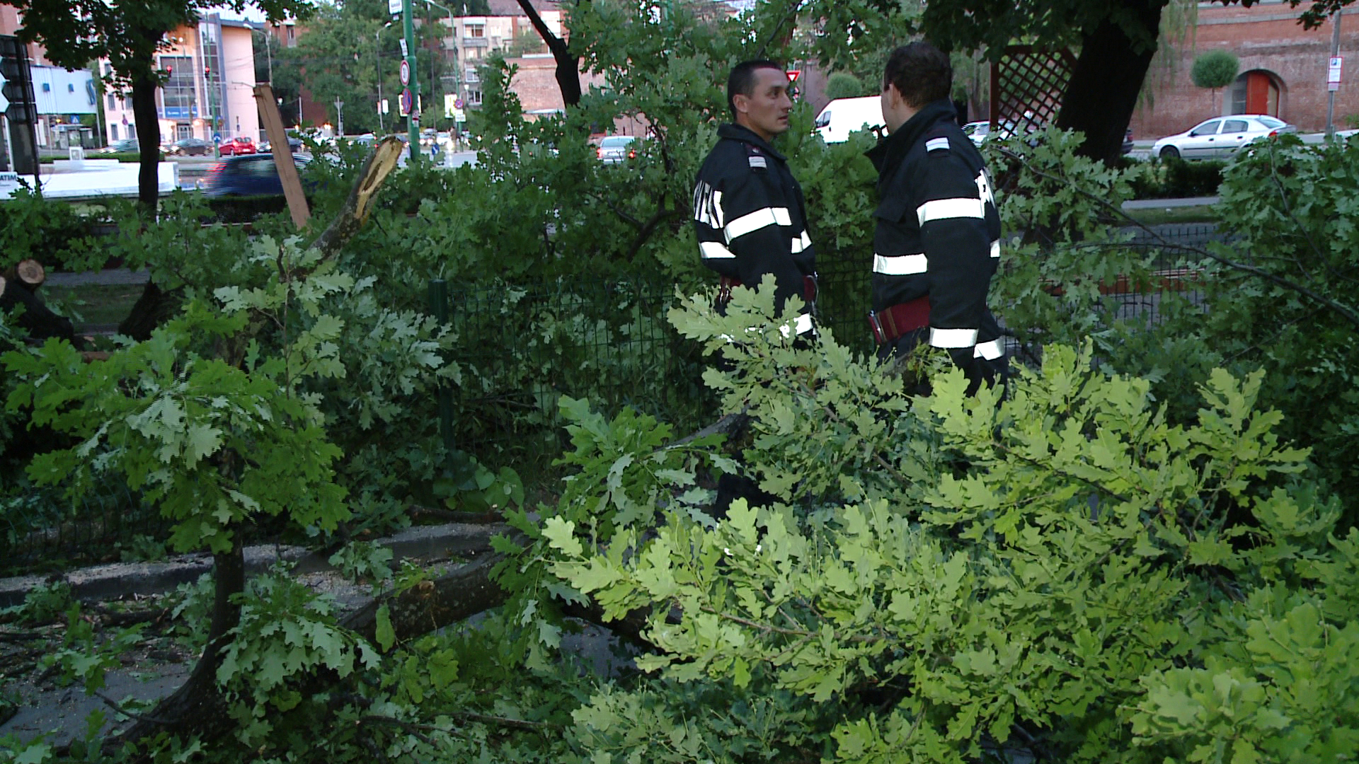 Barbatul si fiica lui, raniti de un copac cazut in Parcul Carol din Capitala, sunt in stare stabila