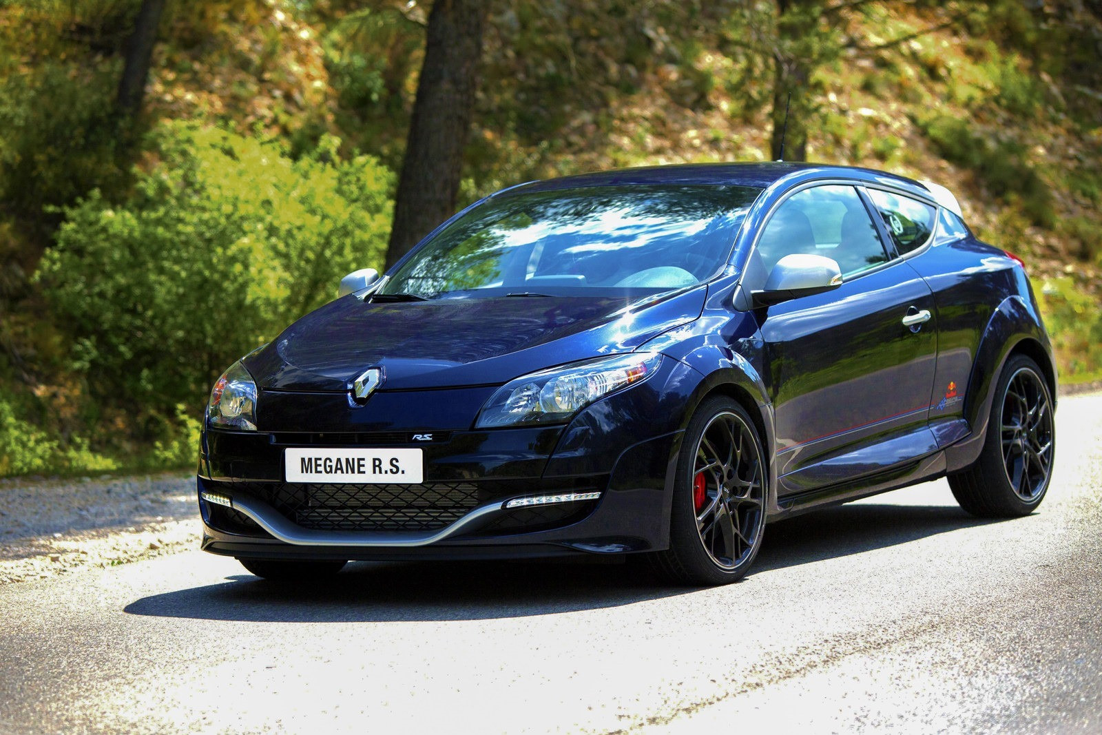 Renaul Megane RS RB8 - 5