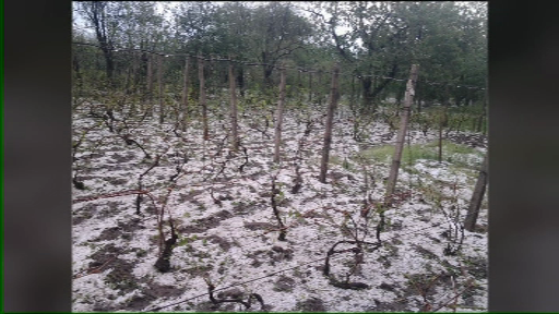 Avertizari meteo de ploi, vant si descarcari electrice in mai multe judete ale tarii