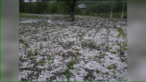 grindina iasi 2