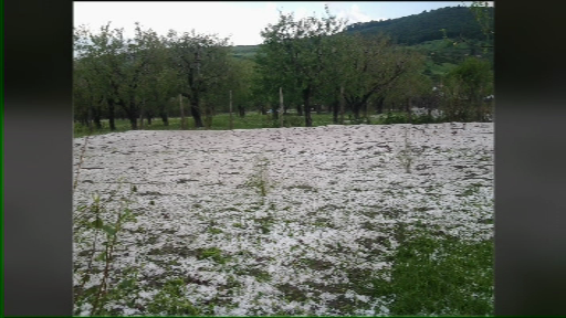 grindina iasi 3