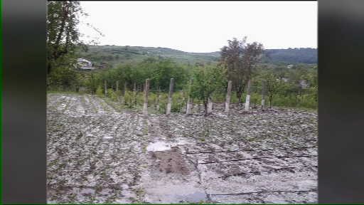 grindina iasi 4