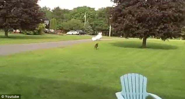 A vrut sa arate tuturor rochia ei de mireasa. Cand a vazut ce o astepta acasa a rupt-o la fuga