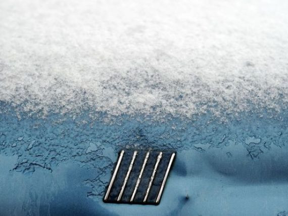 Emblema Italiei da lovitura de gratie tarii care a creat-o. Guvernul de la Roma, la mana Fiat