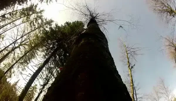 Cum s-au retrocedat ilegal zeci de mii de hectare. Afla duminica la Romania te Iubesc