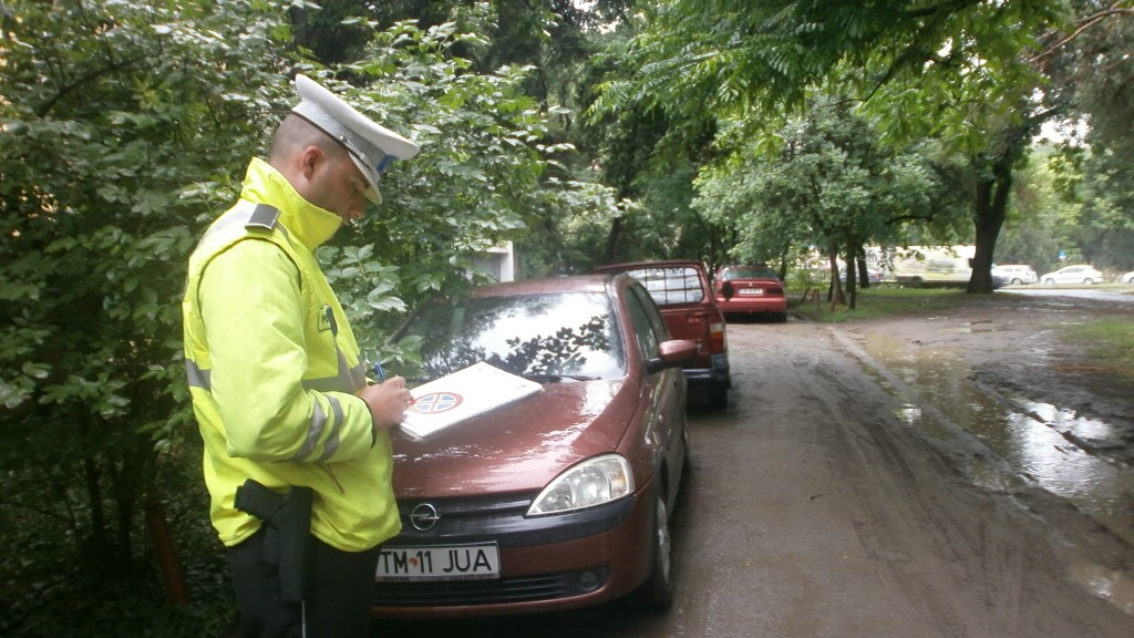 Cativa soferi au transformat un parc din Timisoara in parcare pentru masini. FOTO