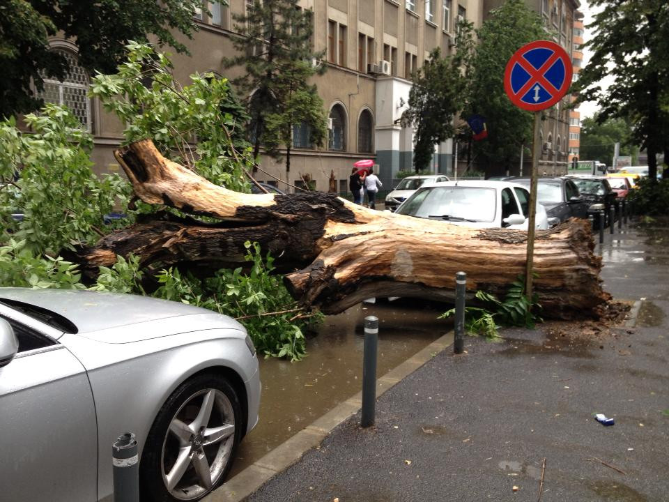 furtuna stefan cel mare