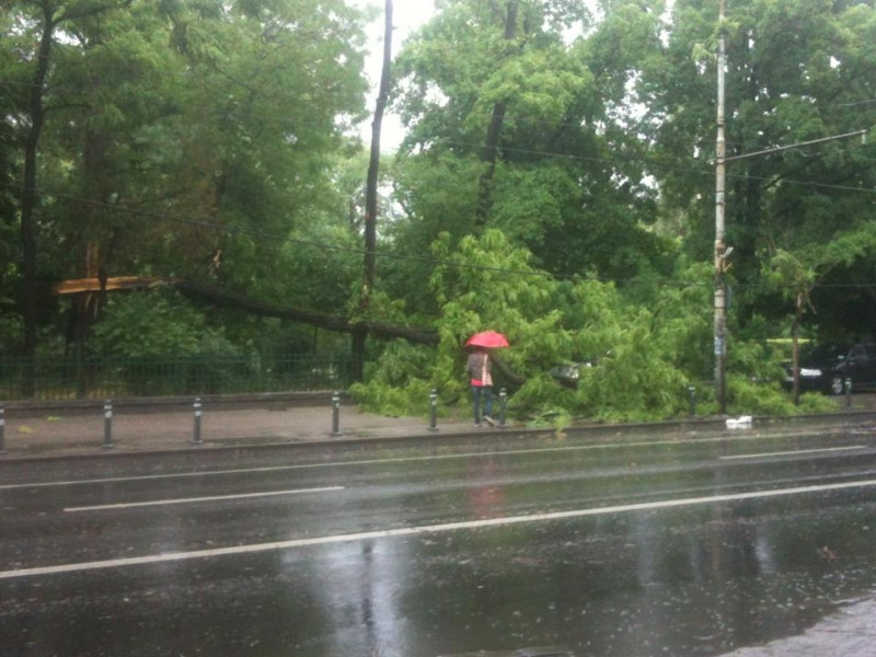 Cod galben de inundatii in Romania, emis pentru rauri din nord, nord-vest si sud-vestul tarii