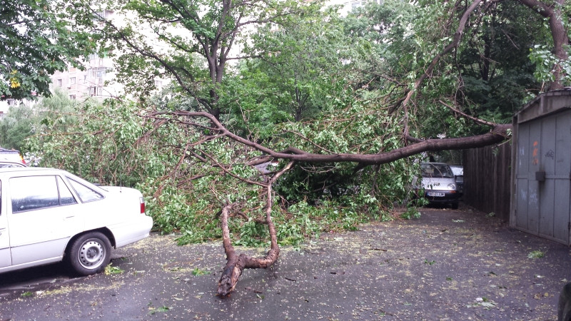 intr. graururlui furtuna