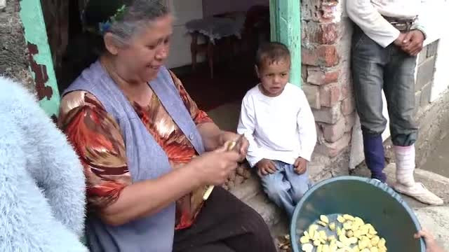 500 de familii sarace au primit cate 30 kg de cartofi de samanta. Nimeni n-a valorificat cadoul