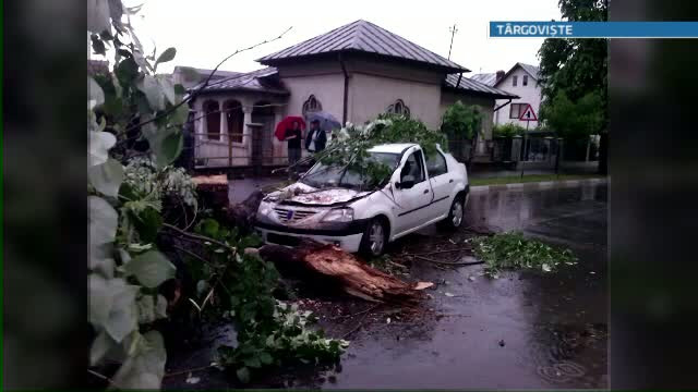 Imaginile vijeliei in toata tara. 200 de familii din Botosani au suferit pagube de 100 de milioane