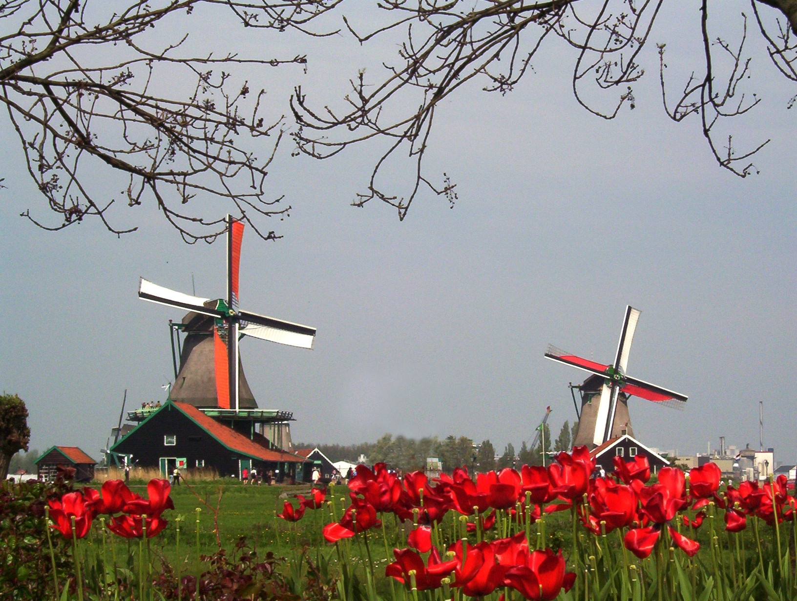 Care sunt cele mai bune locuri unde sa te retragi la pensie: Tarile unde se traieste cel mai bine si pe ce loc este Romania