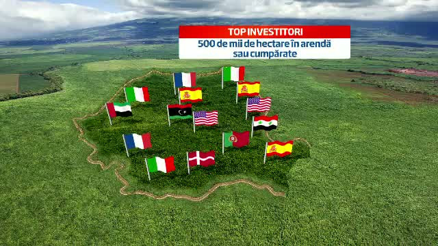 Codrul nu mai e frate cu romanul. Cum a ajuns "aurul verde" al tarii noastre pe mana strainilor