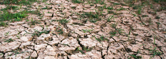 Meteorologii anunta o vara foarte secetoasa. Prognoza meteo pe urmatoarele trei luni