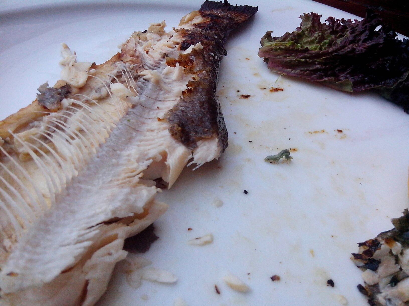 "A tipat cand a vazut ce era in farfurie". Meniul servit intr-un restaurant din Centrul Vechi