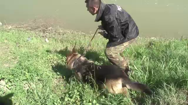 Actiune ampla de cautari in Arges, pentru a rezolva misterul cadavrului fara cap, maini si picioare