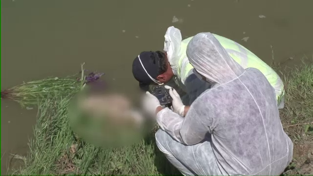 Piciorul drept al femeii ucise si transate, gasit in raul Arges