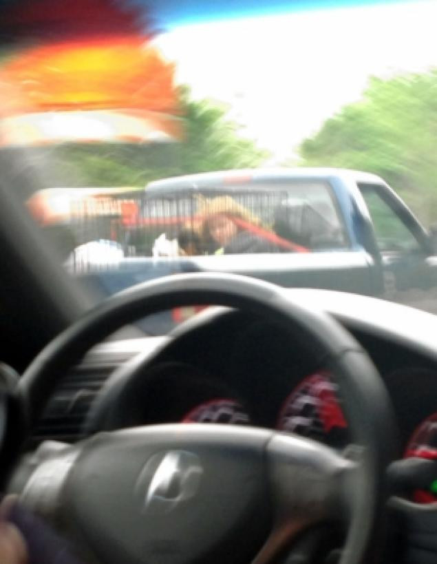 Imaginea surprinsa de un sofer in trafic, care a dus la arestarea unor parinti. FOTO