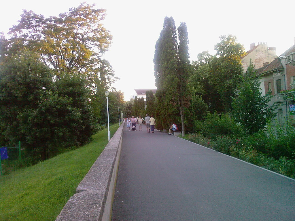 Pista pentru biciclisti de pe faleza Muresului e gata, dar numai pe hartie. Afla datele proiectului