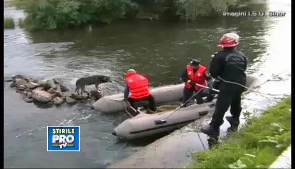 Operatiune de salvare a unui caine ramas izolat pe o movila de bolovani in raul Crisul Repede. VIDEO