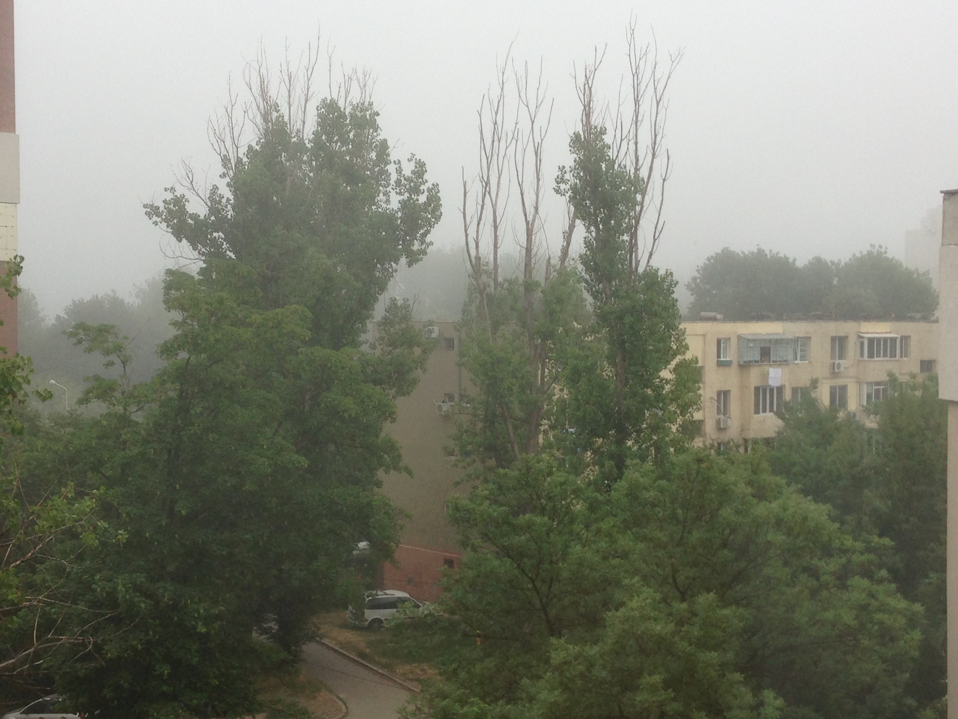 Cod GALBEN de ploi, vant si grindina in mai multe judete. Pana cand este valabila avertizarea meteo