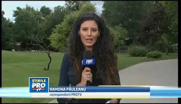 Bucurestenii, obligati sa-si sterilizeze cainii sau sa plateasca o taxa de 150 de lei pe an