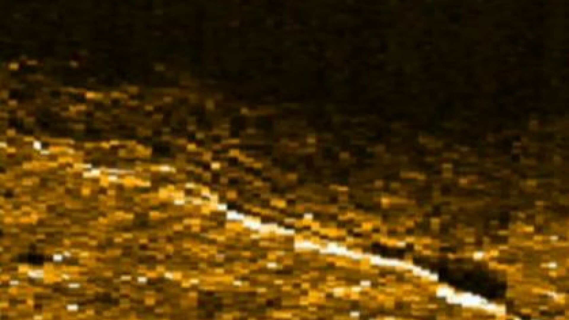 epava avion Amalia Earhart