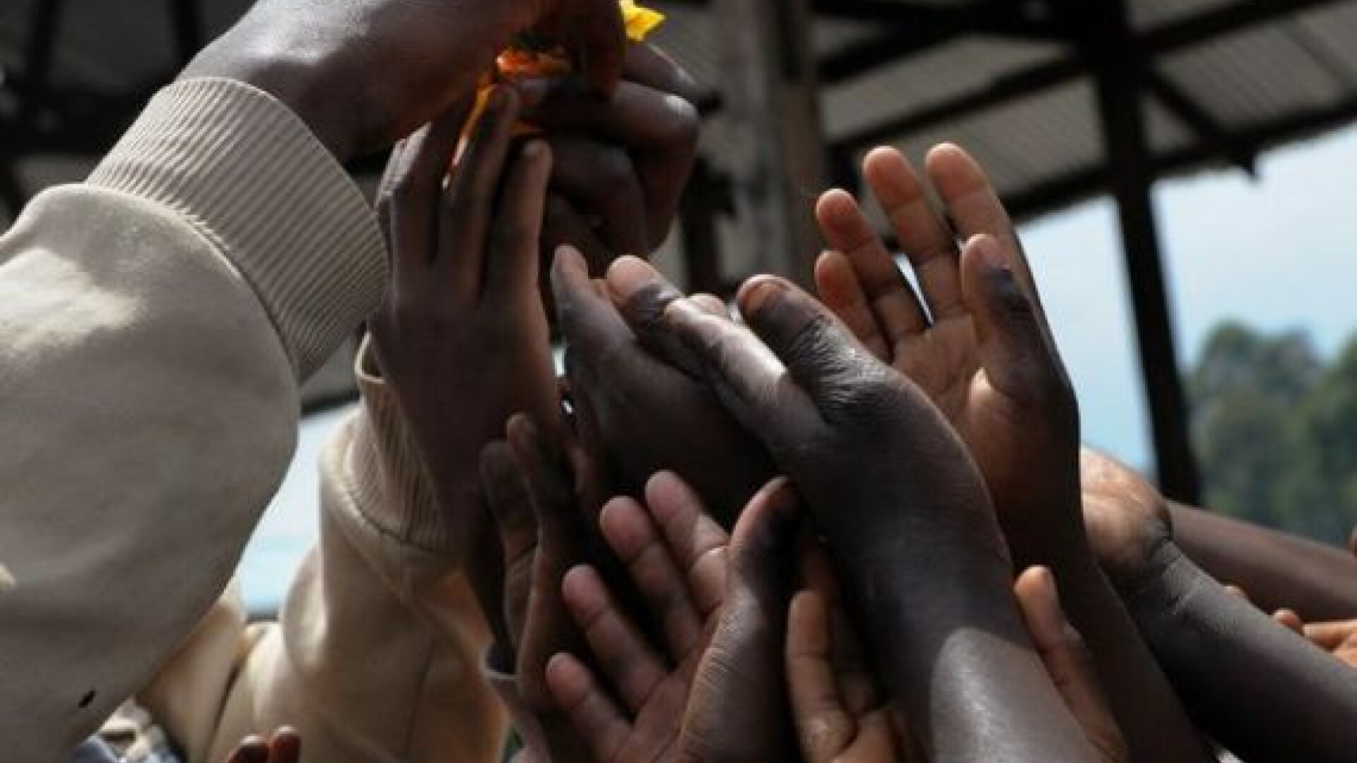 Statistica alarmanta la nivel mondial. O persoana din trei sufera de malnutritie