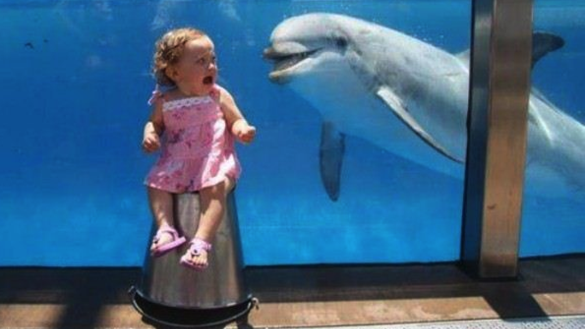 Ce a speriat-o atat de tare pe aceasta fetita. Imaginea a ajuns viral pe internet