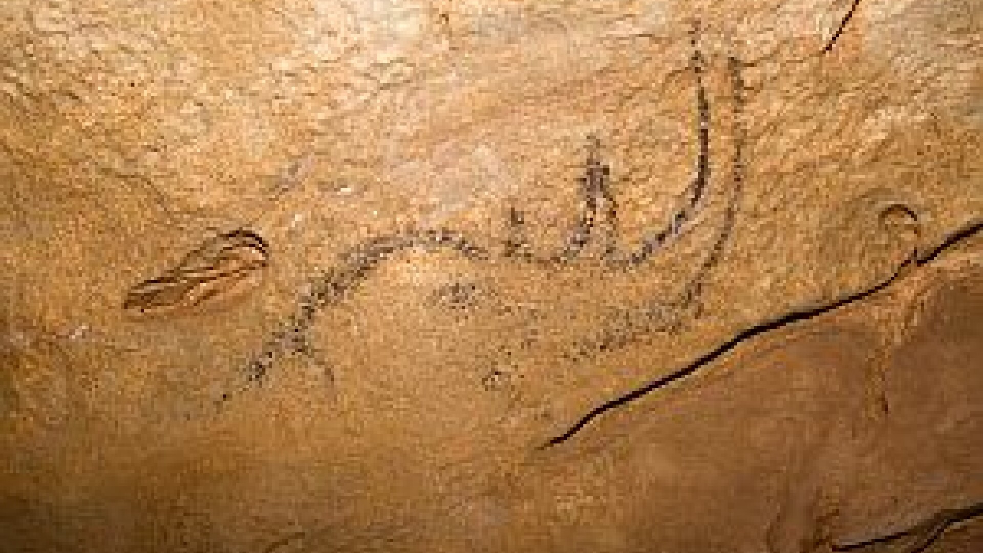 pictura rupestra, pestera Coliboaia, foto: Andrei Posmosanu/ FRS