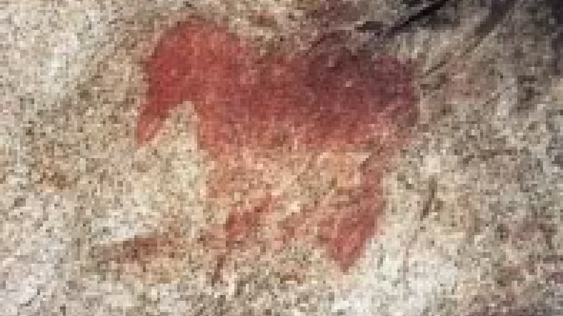 pictura rupestra, pestera Cuciulat