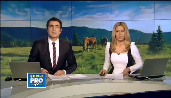 Nepasarea autoritatilor: cai schingiuiti zilnic in Iasi, stapanii lor raman nepedepsiti