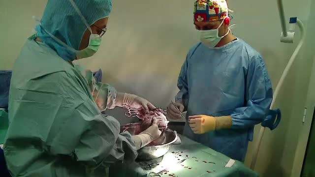 Organele copilului aflat in moarte cerebrala, dupa ce o poarta a cazut peste el, au fost donate