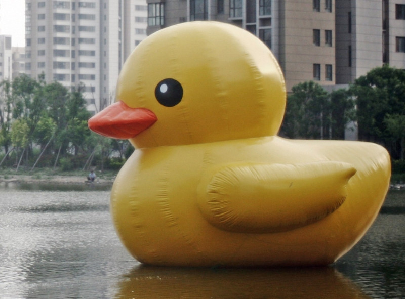 China a interzis cautarea pe internet a sintagmei "rata mare galbena". Motivul din spatele deciziei