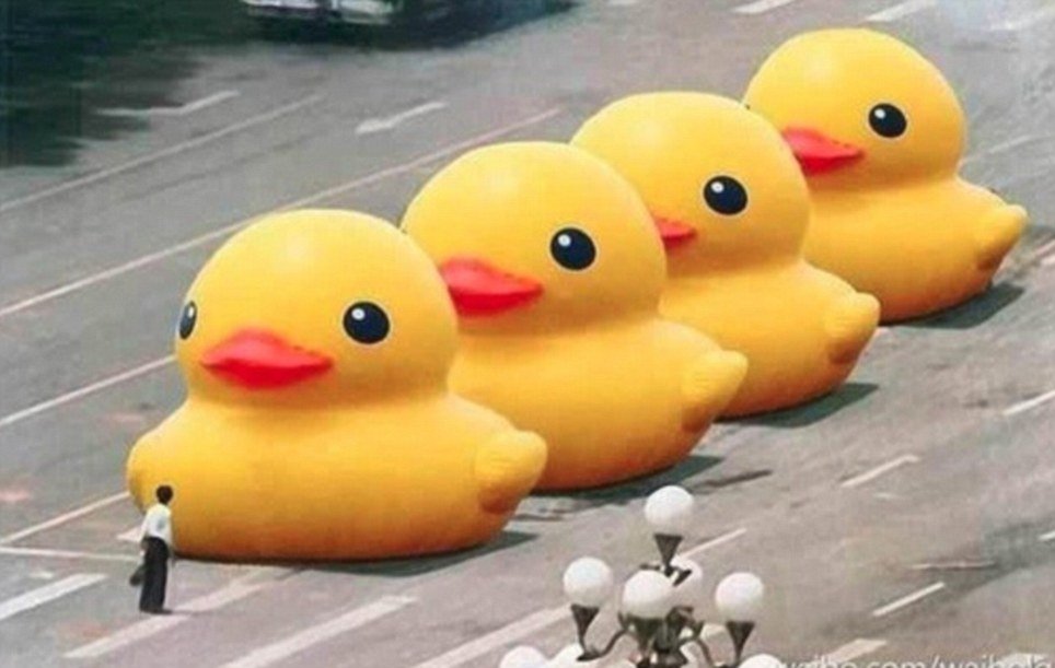rata china