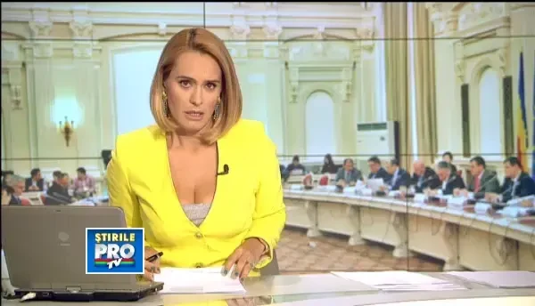 Remus Cernea, despre prevederile noii Constitutii: Ar putea insemna si liber la casatoriile gay