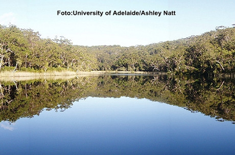 "Cada lui Dumnezeu". A fost descoperit un lac ale carui ape sunt la fel ca acum 7500 de ani