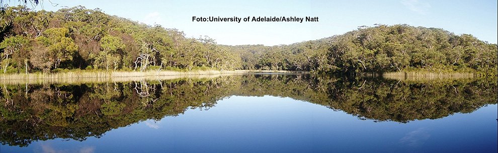 Lacul Albastru din Australia