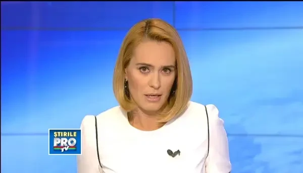 Casatoriile intre persoanele de aceleasi sex ar putea fi strict interzise prin legea fundamentala