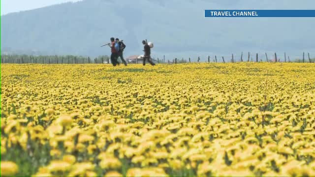 Documentarul "Wild Carpathia 2", o reclama minunata facuta Romaniei, a avut premiera la Londra