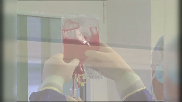 Patru romani au fost deja salvati in urma infiintarii Registrului donatorilor de celule stem