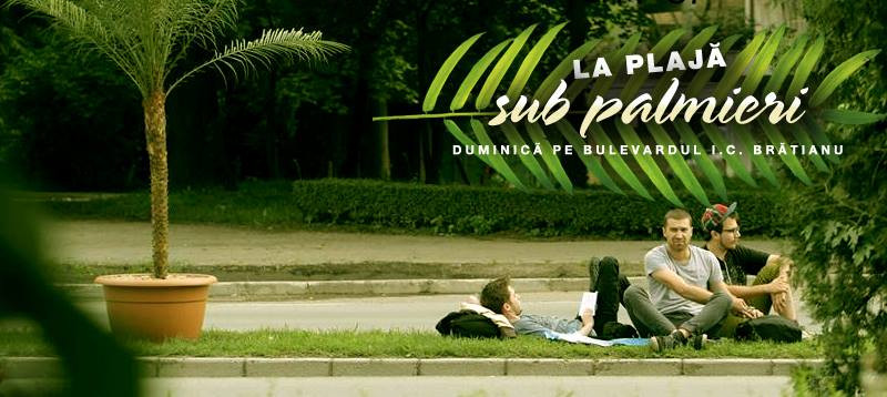 "Hai duminica la plaja sub palmieri". Aroganta pe care o pregatesc timisorenii primarului