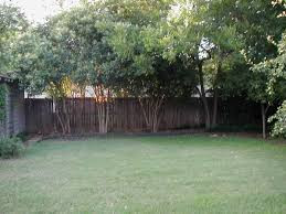 Descoperirea neasteptata facuta de un elev in timp ce sapa in gradina. "Este un adevarat tezaur"