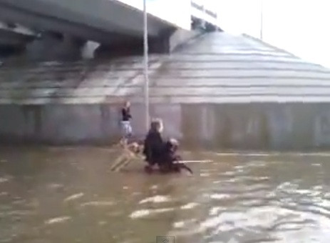 Cainele erou al inundatiilor din Rusia. Scenele desprinse parca din filmele cu Lassie. VIDEO