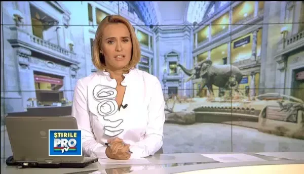 Colectii celebre, muzee si institutii de cultura, la un click distanta cu ajutorul internetului